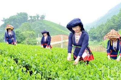 Chính phủ giao kế hoạch đầu tư công trung hạn vốn ngân sách trung ương giai đoạn 2026 - 2030