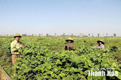 Bí thư chi bộ khéo dân vận