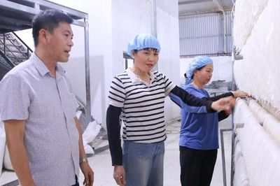 Bắc Ninh: 208 sản phẩm OCOP cần đánh giá, phân hạng lại
