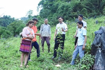 Chuyển đổi cơ cấu cây trồng vùng đồng bào dân tộc thiểu số