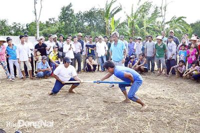 Thành lập Ban Chủ nhiệm chương trình 1: Cuộc vận động Toàn dân đoàn kết xây dựng nông thôn mới, đô thị văn minh thành phố Đồng Nai