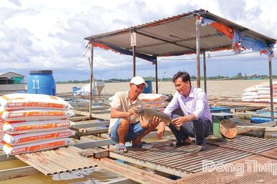 Xã An Long: Khai thác lợi thế sông Tiền