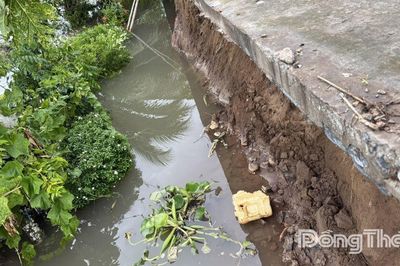 Phường Sa Đéc: Khẩn trương khắc phục sạt lở bờ kè đường Ngã Bát