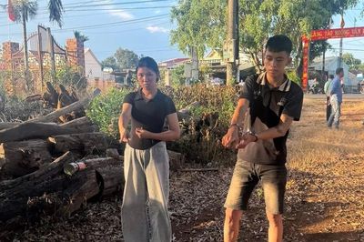 Bắt đôi nam nữ 17 tuổi chuyên trộm xe công nông