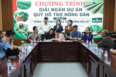 Quỹ Hỗ trợ nông dân tỉnh giải ngân Dự án trồng và chăm sóc rau theo hướng hữu cơ tại phường Tân Phong