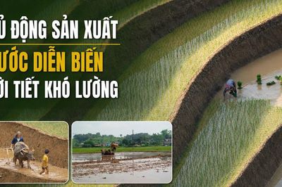 Chủ động sản xuất trước diễn biến thời tiết khó lường