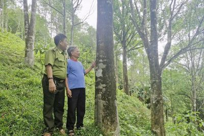 Câu chuyện đẹp về tình yêu rừng