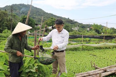 Bắc Quang đa dạng mô hình phát triển kinh tế