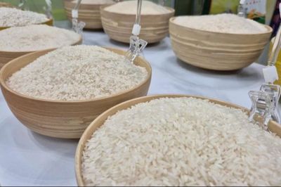 Ngày 30/6: Giá gạo nguyên liệu xuất khẩu tăng, lúa đi ngang