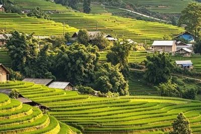 Lào Cai: Phong trào thi đua trở thành nếp sống văn hóa