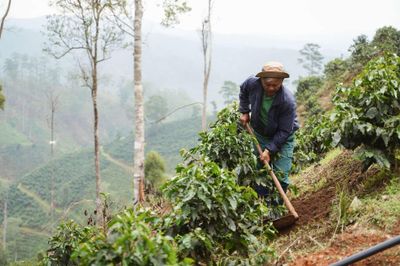 Giữ rừng từ những thay đổi trong sinh kế của người dân
