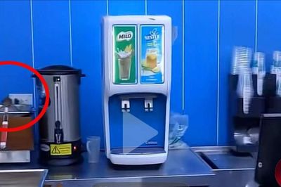 Chuột xuất hiện trong khu chế biến của một cửa hàng tiện lợi: Hồi chuông cảnh báo về vệ sinh an toàn thực phẩm