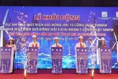 Cà Mau khởi động hai dự án điện gió gần 5.400 tỷ đồng