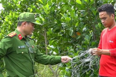 Đồng Tháp: Giăng điện bẫy chuột làm chết hàng xóm