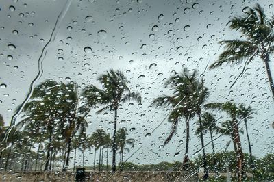 Những khu vực cần chú ý thời tiết mưa, lốc xoáy