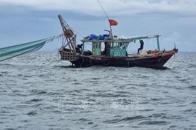 Vi phạm trong lĩnh vực thủy sản có thể bị phạt tới 2 tỷ đồng