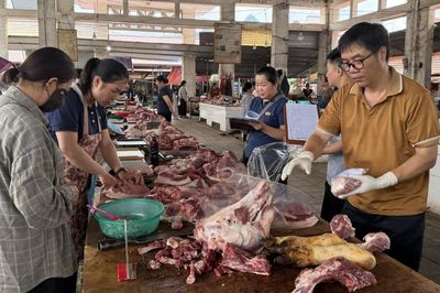 Giám sát chất lượng an toàn thực phẩm nông, lâm, thủy sản năm 2026