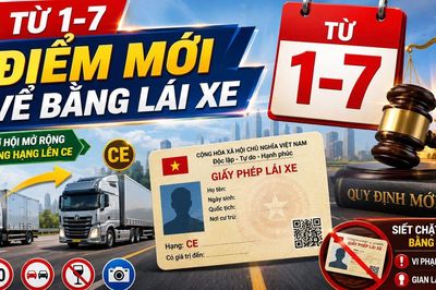 Bổ sung thêm hành vi bị thu hồi giấy phép lái xe từ 1/7
