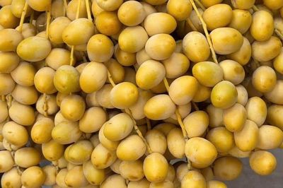Loại quả từng là đặc sản cao cấp, giá rẻ, bán đầy ngoài chợ vì vị ngọt thơm và giàu dinh dưỡng, nhưng vẫn có nhóm người được khuyến cáo không nên ăn