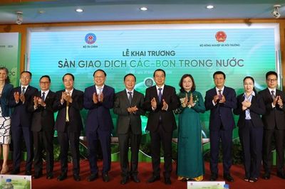 Hơn 1.200 tấn CO2e được giao dịch trong ngày đầu vận hành sàn carbon