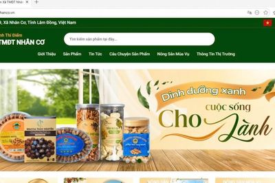 Lâm Đồng hướng tới nhân rộng mô hình 'Xã thương mại điện tử', thúc đẩy kinh tế số nông thôn