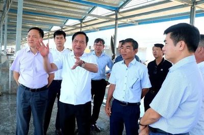 Thứ trưởng Võ Văn Hưng khảo sát hạ tầng nghề cá trọng điểm tại Khánh Hòa
