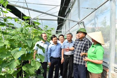 Tuyên Quang phát triển nông nghiệp xanh, nâng cao chuỗi giá trị sản xuất