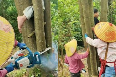 Xem giải cứu em bé mắc kẹt khi trèo cây, dân mạng than 'khối nghỉ hè quá mạnh'