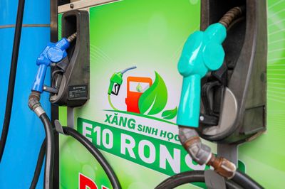 800 triệu lít xăng E10 được tiêu thụ sau 1 tháng mở bán toàn quốc