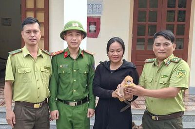 Kịp thời cứu hộ voọc con đi lạc vào vườn nhà dân