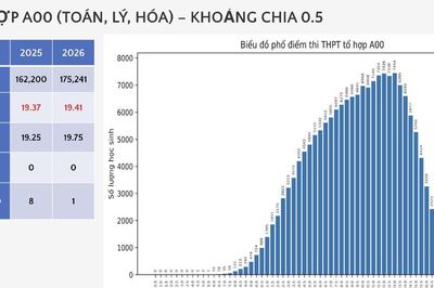 Khối A00 có 1 thí sinh đạt điểm tuyệt đối 30/30