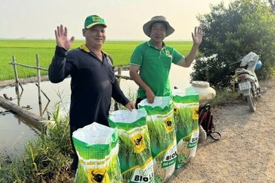 Đất khỏe hôm nay, mùa vàng ngày mai