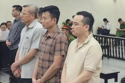 Cựu Chủ tịch Công ty Nam Triệu bị tuyên mức án 29 năm tù