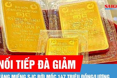 Sáng 1-7, vàng miếng SJC rời mốc 147 triệu đồng/lượng