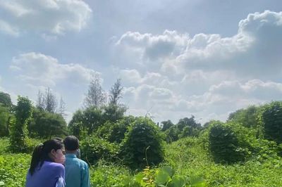 VKSND khu vực 2 - TPHCM khởi kiện vụ án dân sự công ích, đòi lại tài sản công