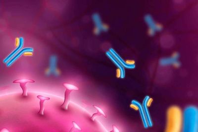 Các nhà khoa học tìm ra cách hoàn toàn trái ngược để chống lại virus