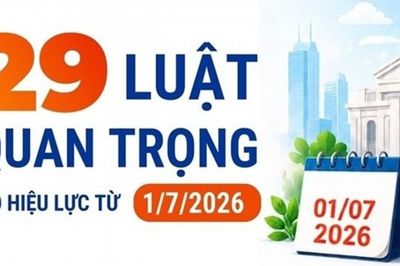 29 luật quan trọng có hiệu lực từ ngày 1/7