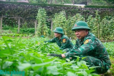 Hiệu quả trong công tác tăng gia sản xuất ở Đồn Biên phòng Tùng Vài
