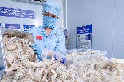 Giữ 'vàng trắng' để vươn tầm thế giới