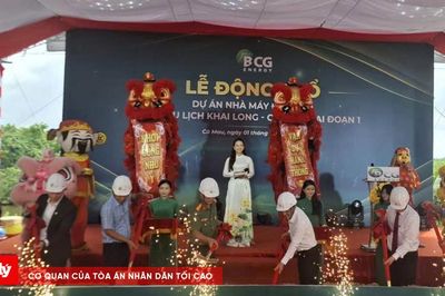 Xây dựng nhà máy điện gió công suất 100MW tại Cà Mau