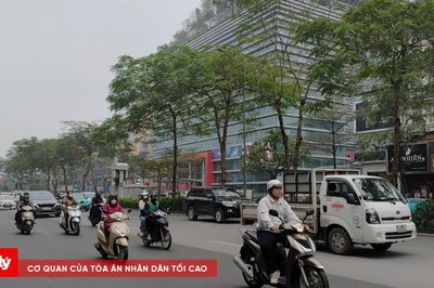 Hoàn thiện cơ sở dữ liệu giao thông đường bộ từ ngày 1/7/2026