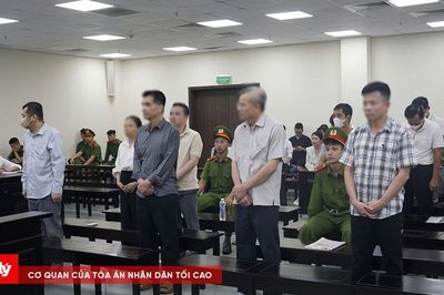 Cựu Chủ tịch Công ty Nam Triệu lĩnh 29 năm tù