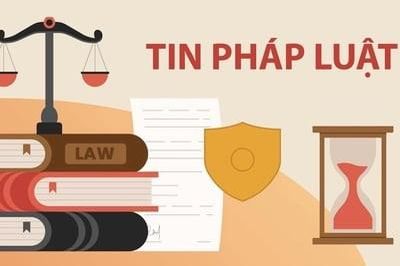 Danh tính 7 đối tượng lập 100 website phim lậu, thu lợi hơn 308 tỷ đồng