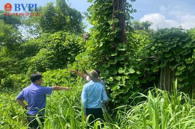 VKSND Khu vực 2 TP Hồ Chí Minh 'tiên phong' khởi kiện để bảo vệ lợi ích công