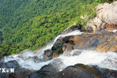 Ấn tượng vẻ đẹp của hệ thống suối thác Bạch Mã ở thành phố Huế