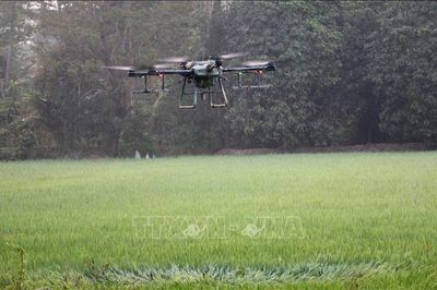 World Cup 2026: Mỹ vô hiệu hóa và thu giữ hàng trăm UAV kể từ ngày khai mạc