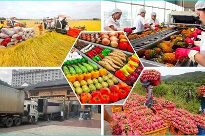 Phát huy sức mạnh 'ba chân kiềng' để ứng phó phòng vệ thương mại