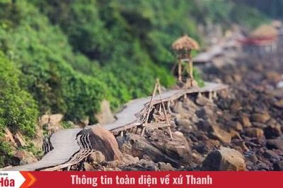 Ngắm Bãi Đông từ cây cầu gỗ uốn quanh biển