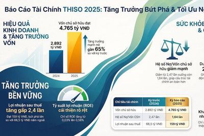 Thấy gì từ bức tranh tài chính của THISO?