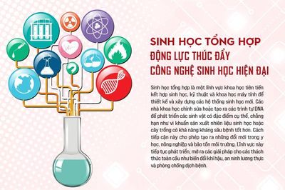 Sinh học tổng hợp: động lực thúc đẩy công nghệ sinh học hiện đại